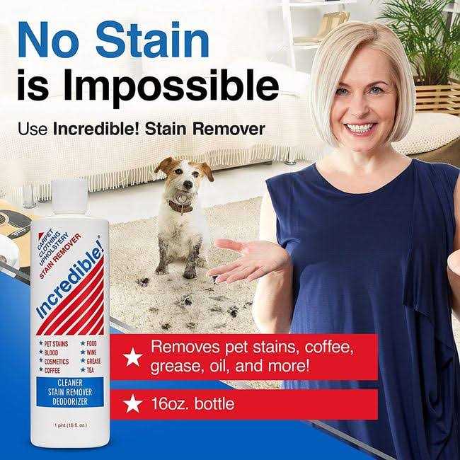 Incredible Stain Remover - Image 2