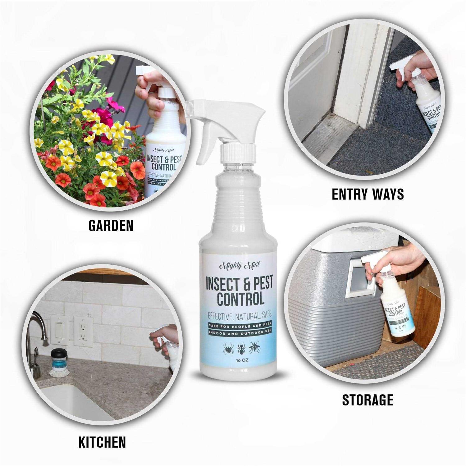 Mighty Mint Insect And Pest Control Peppermint Oil - Image 3