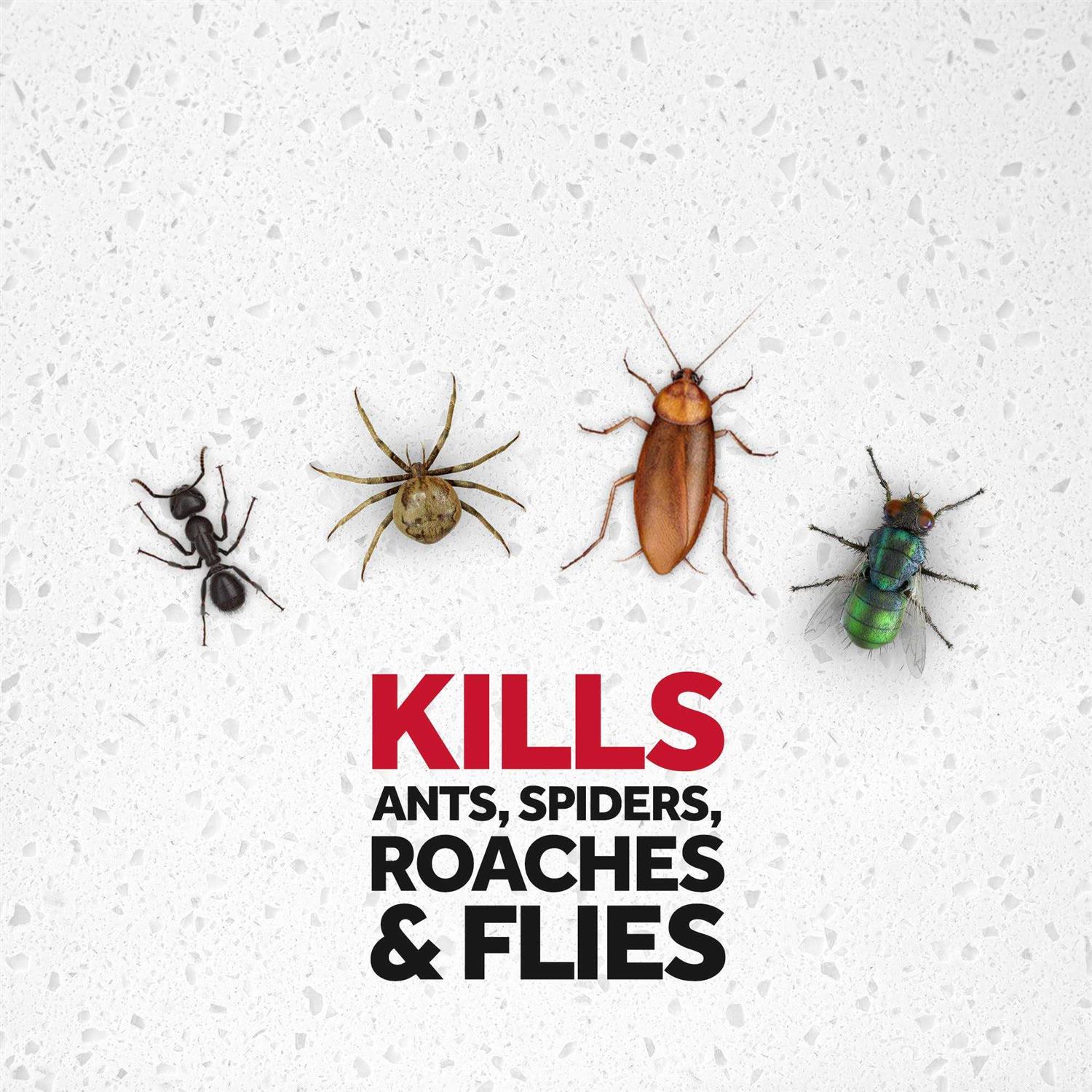 Raid Multi Insect Killer - Image 2
