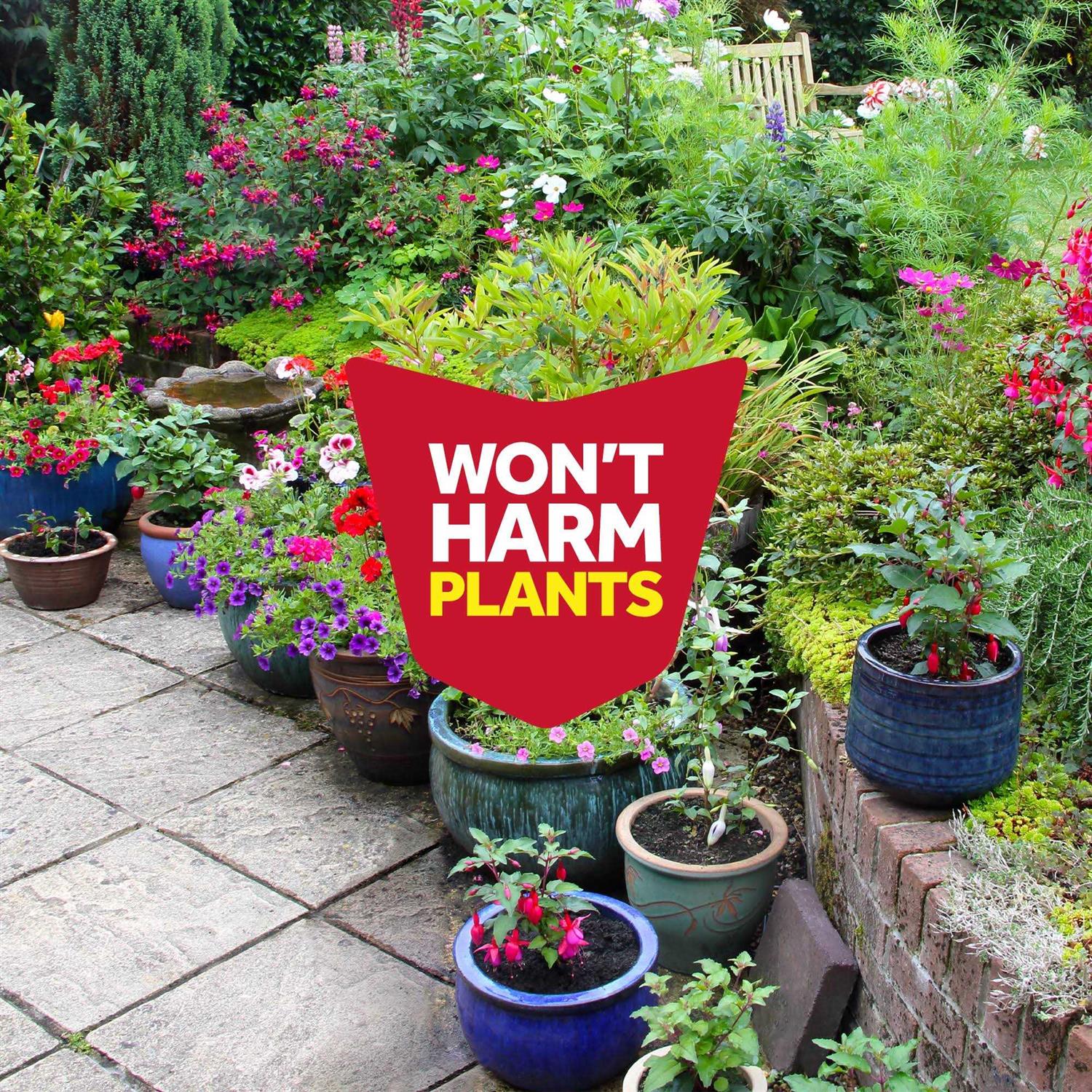 Raid Multi Insect Killer - Image 3