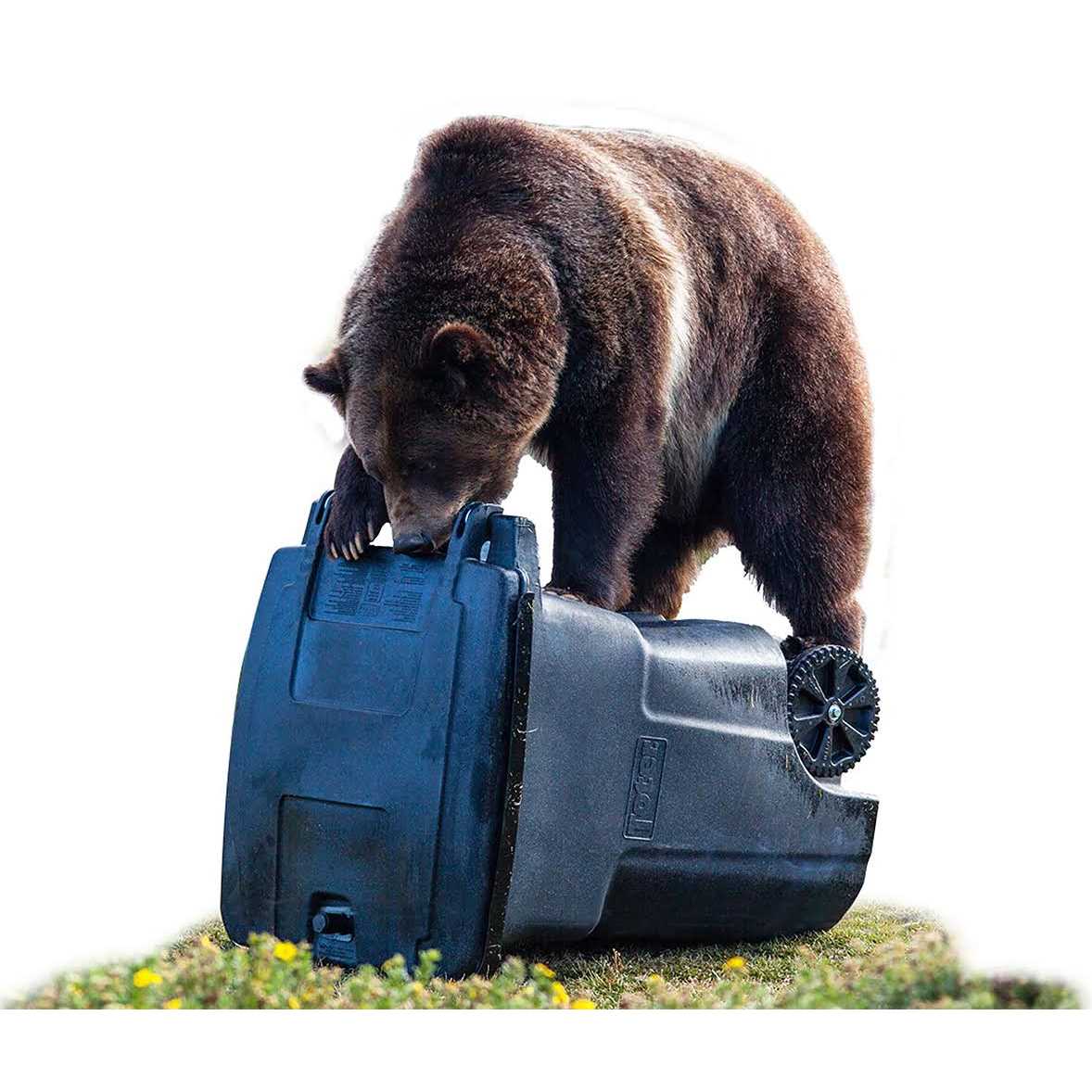 Toter Black Bear-Tight Wheeled Trash Can - Image 4