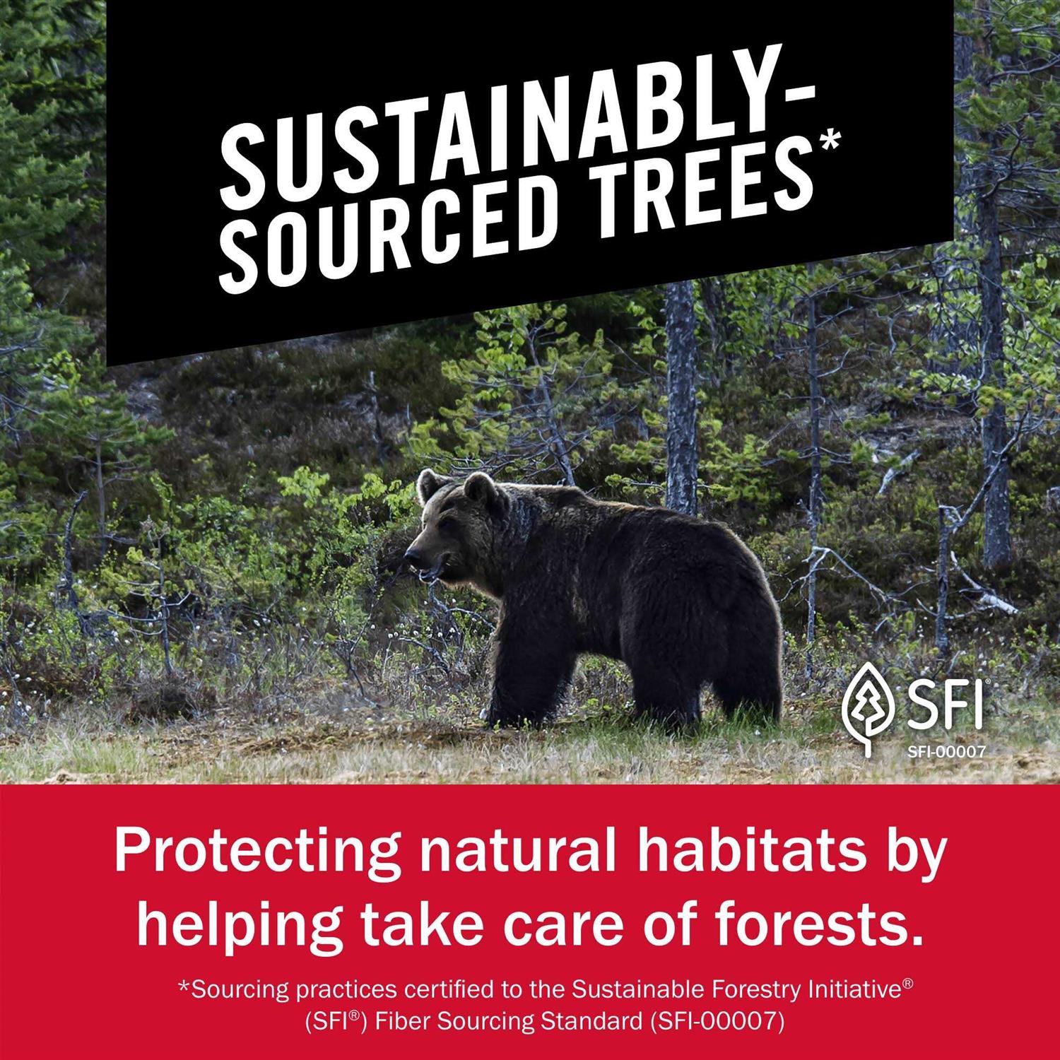 Brawny Paper Towels Tear-A-Square - Image 5