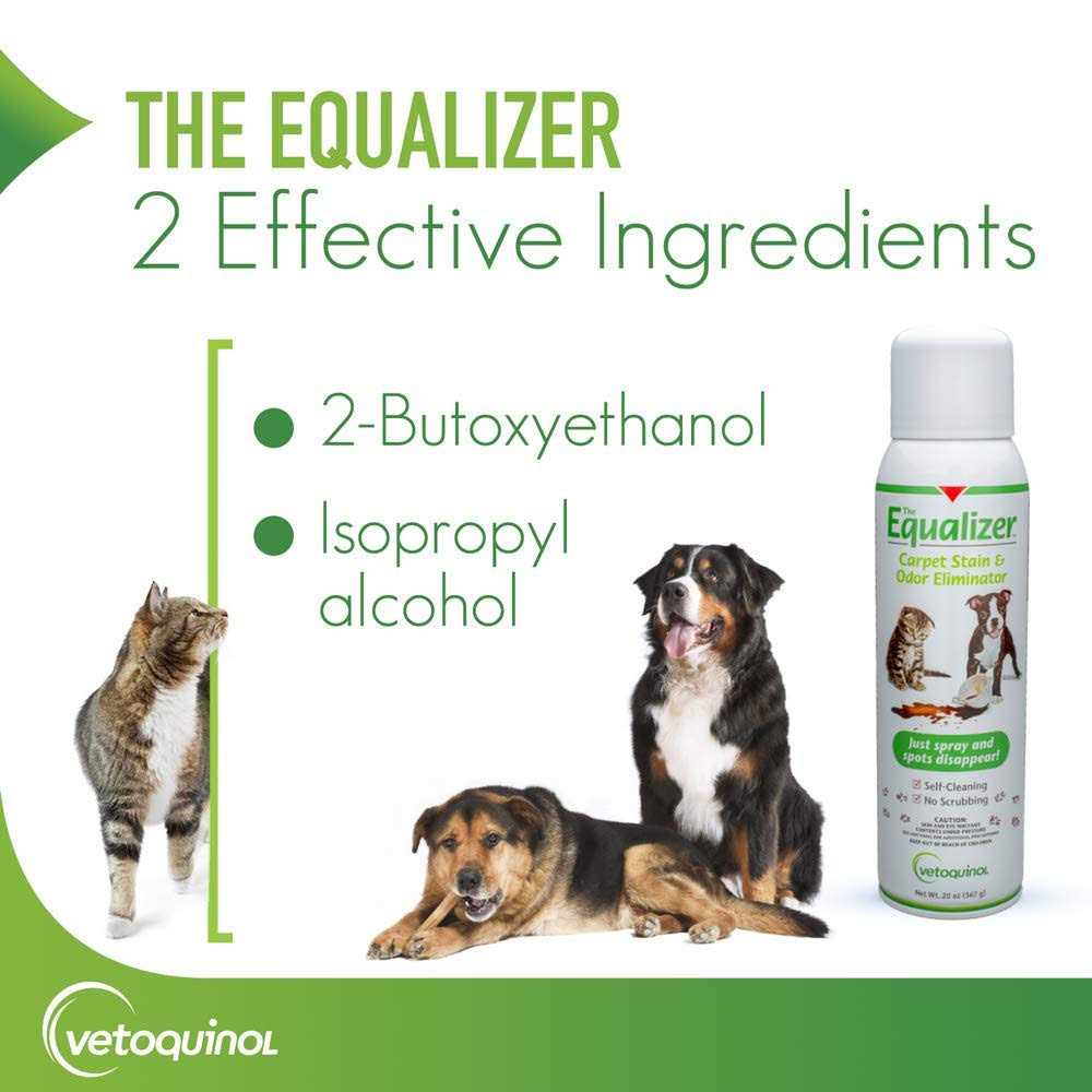 Equalizer Carpet Stain & Odor Eliminator - Image 3