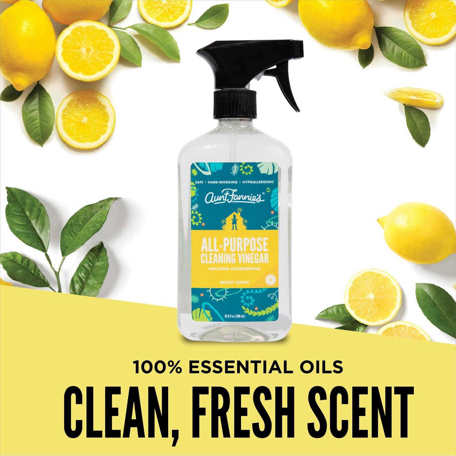 Aunt Fannie's All Purpose Cleaning Vinegar - Image 5