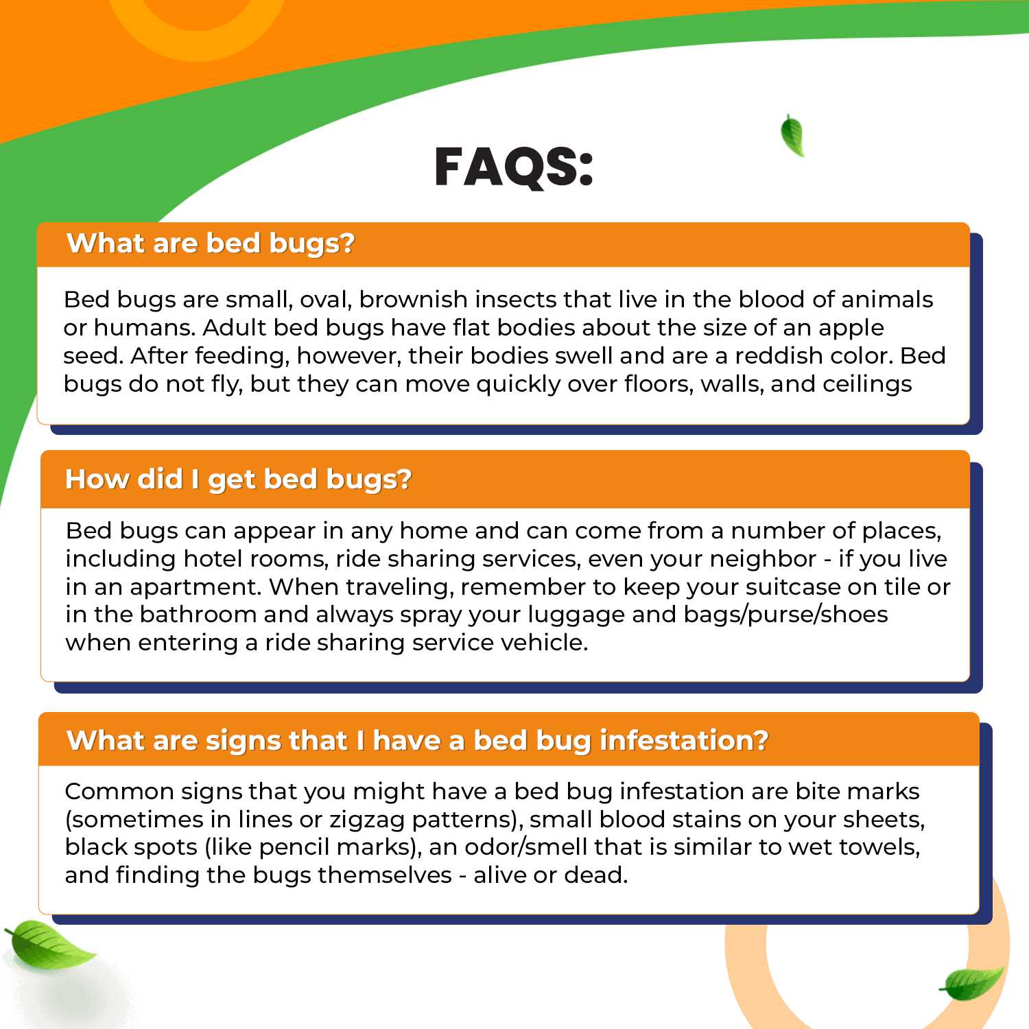 Bed Bug Patrol Bed Bug Killer - Image 3