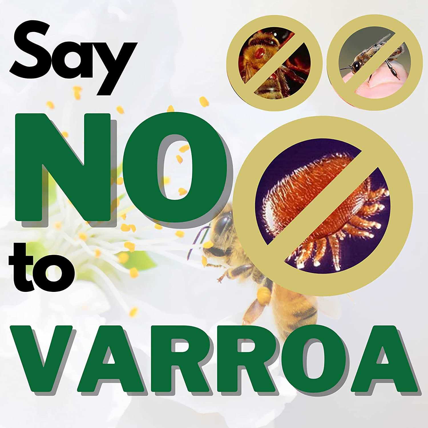 Apiguard 10 Pack for Varroa Mite Control - Image 3