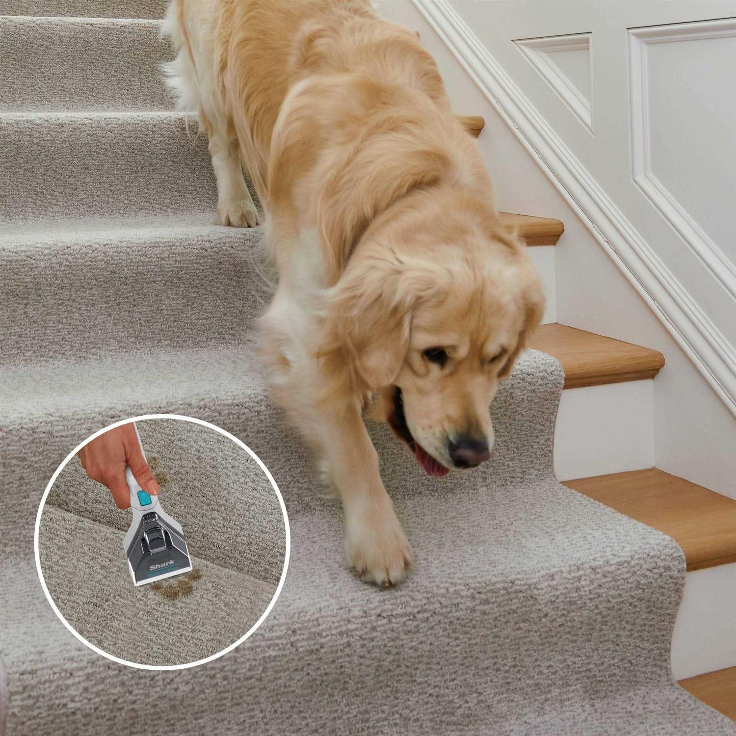 Shark StainStriker OXY Multiplier Formula for Shark Upright & Portable Carpet cleaners - Image 4