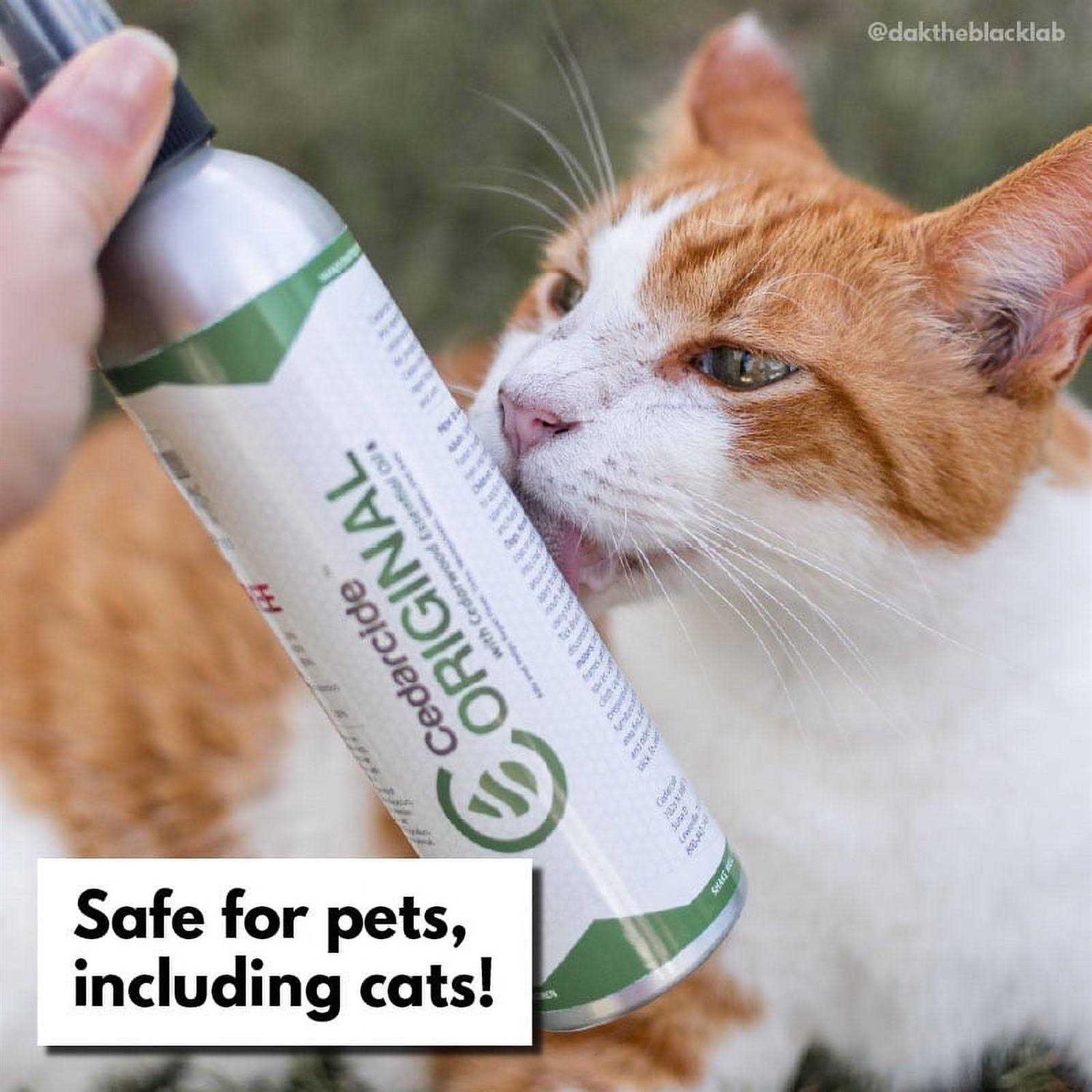 Cedarcide Original Biting Insect Spray - Image 5