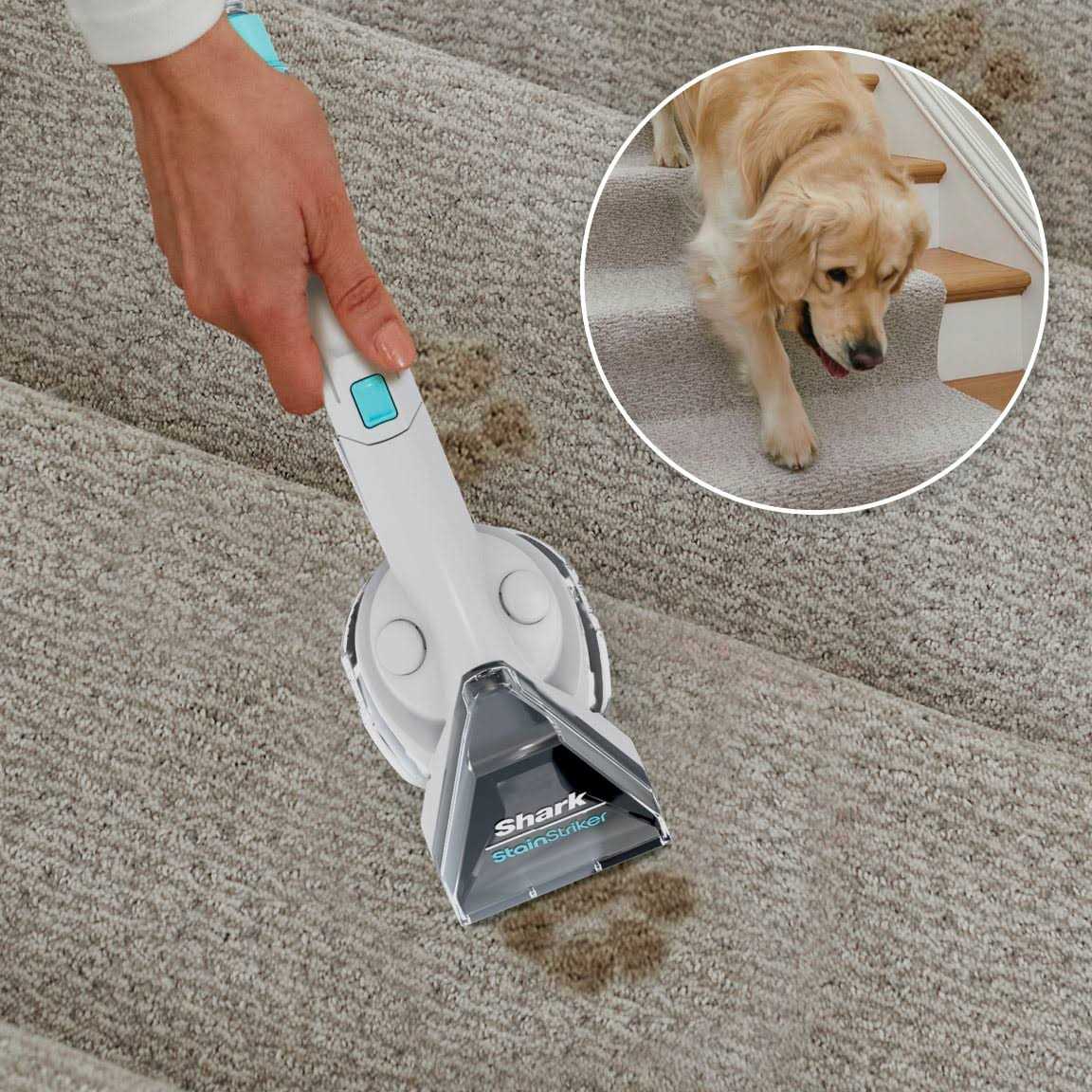 Shark StainStriker Portable Carpet & Upholstery Cleaner PX201 - Image 4