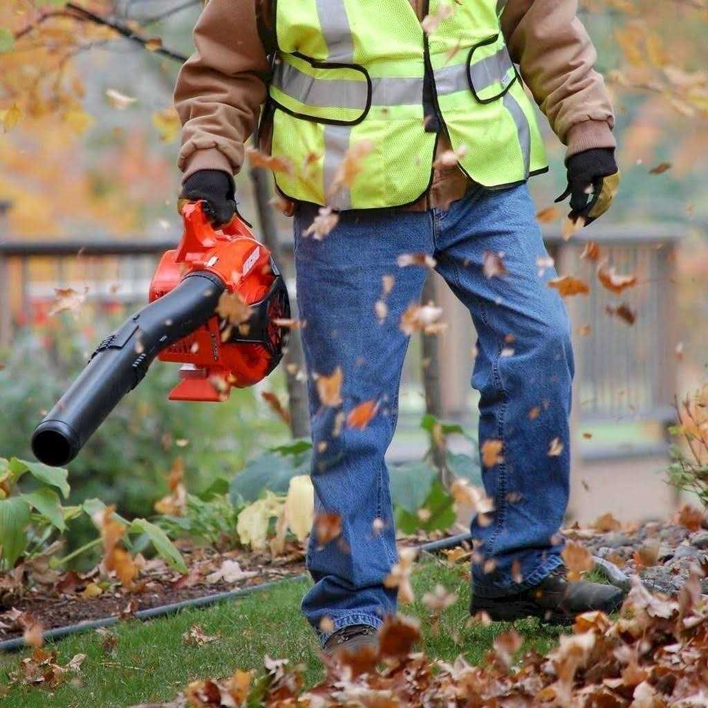 Echo PB-2520 Handheld Leaf Blower - Image 4