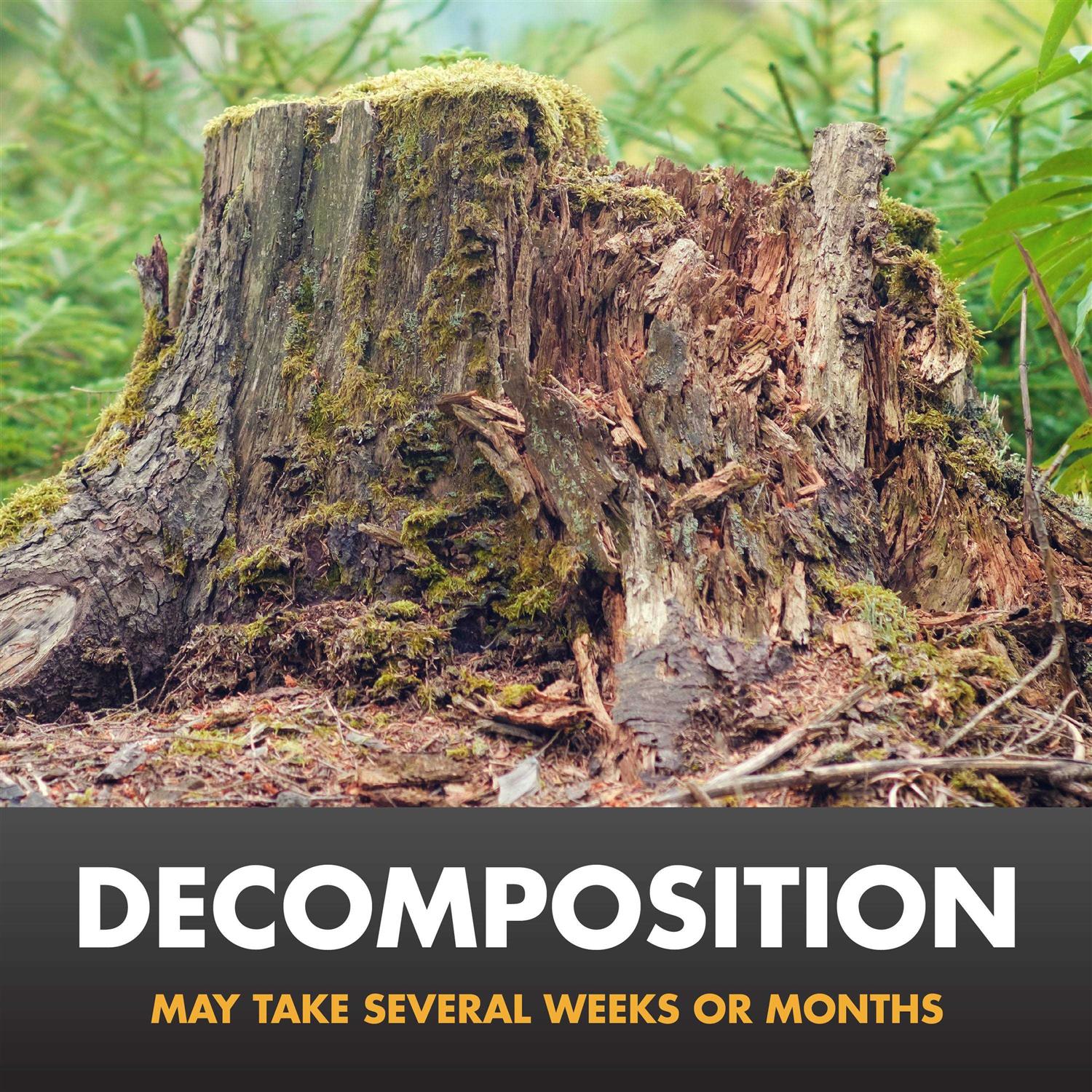 Spectracide Stump Remover - Image 4