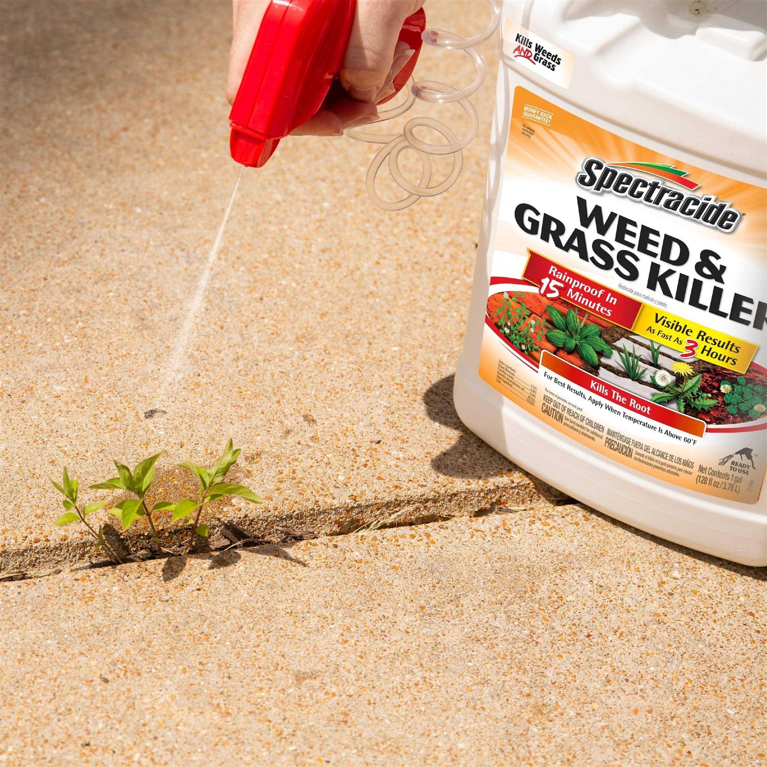 Spectracide Weed & Grass Killer - Image 5