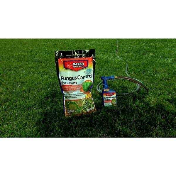 BioAdvanced Fungus Control For Lawns - Image 4