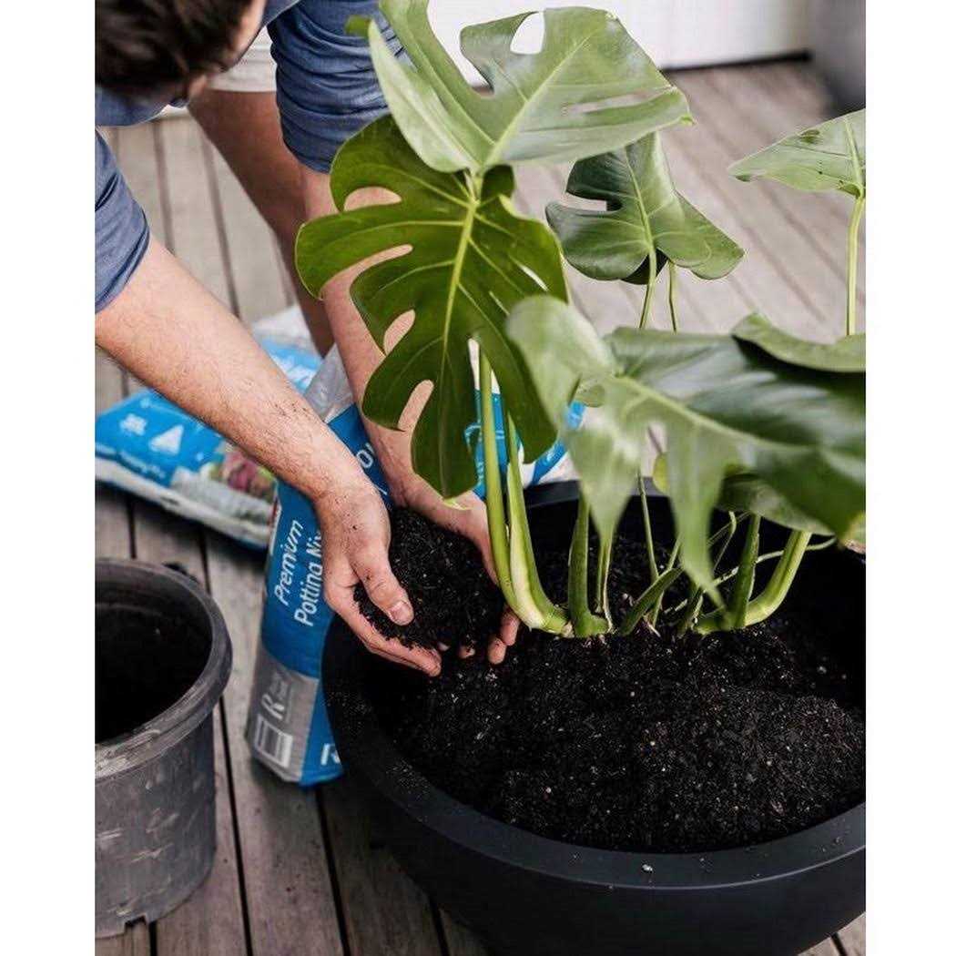 Dorlis Fiberstone Pot Planter Orren Ellis - Image 4