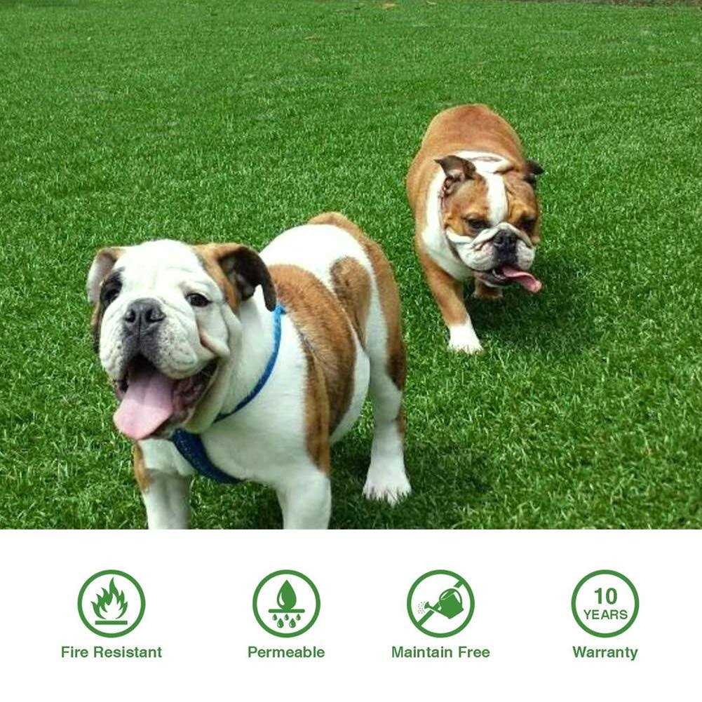 Fas Home Artificial Grass Turf Pile Height Realistic Synthetic Grass - Image 5