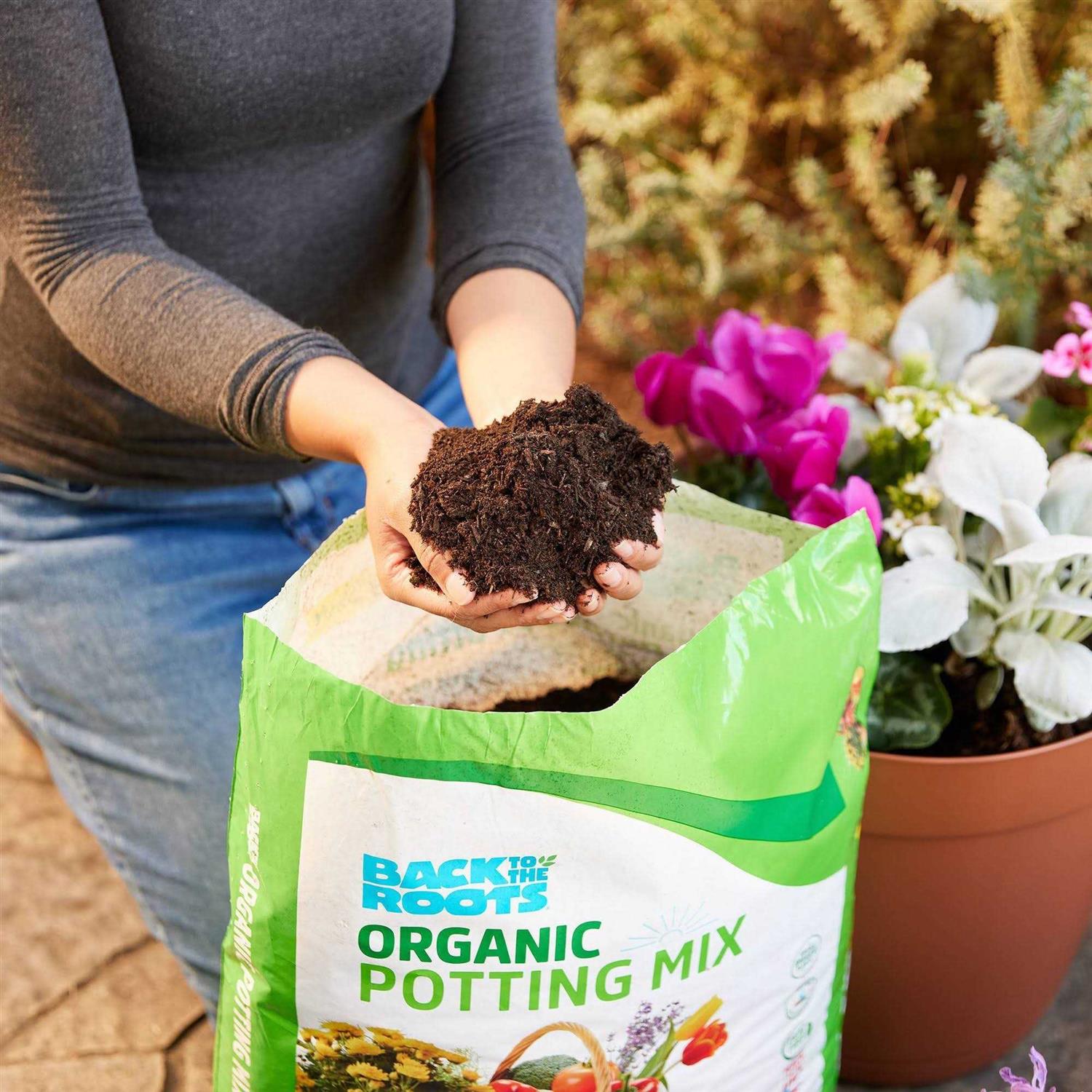 Back to the Roots Organic Potting Mix All Purpose - Image 5