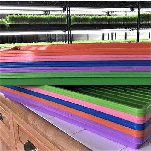 Bootstrap Farmer Trays 1020 Holes - Image 4