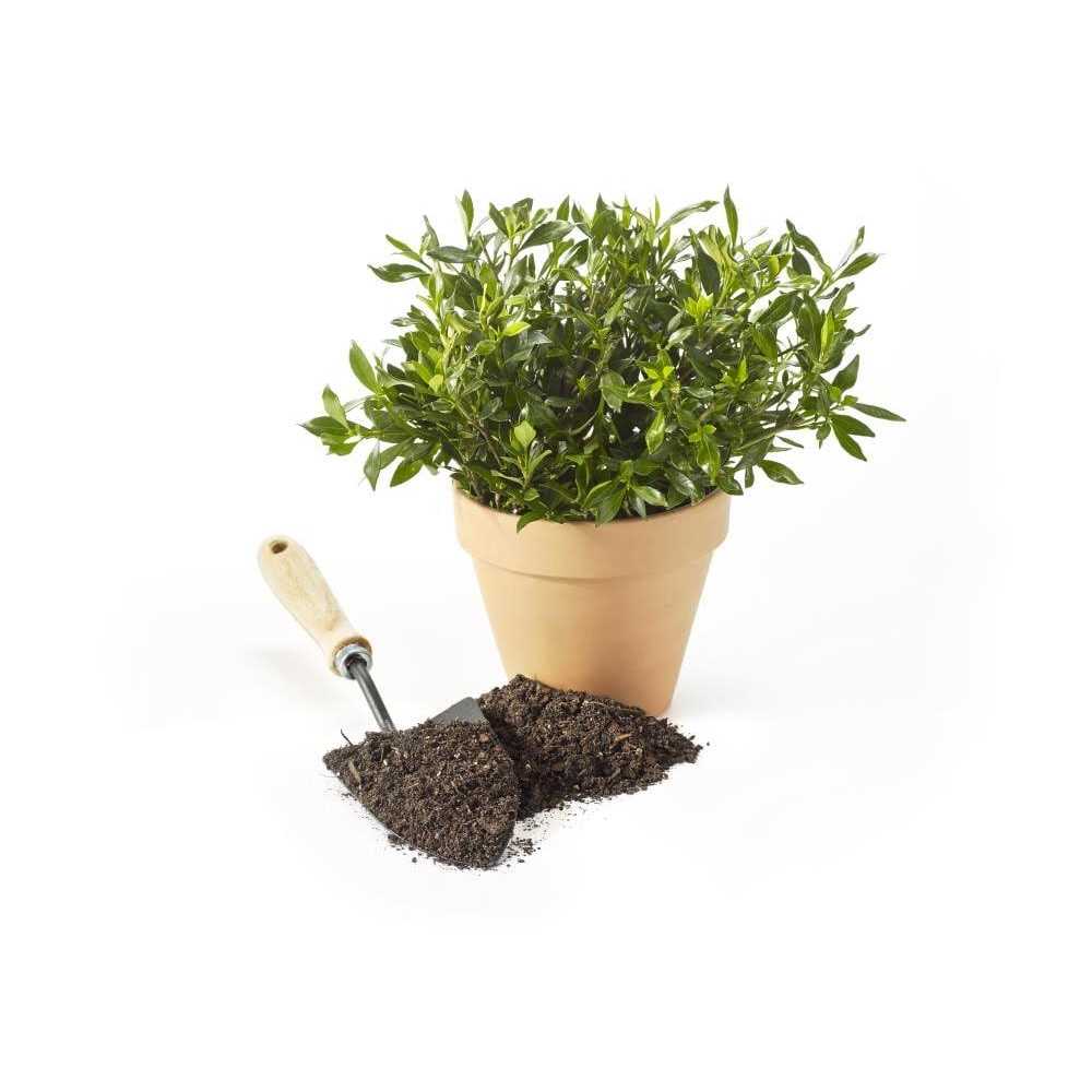 Sta-Green 64-Quart All-purpose Potting Soil Mix 192430 - Image 3