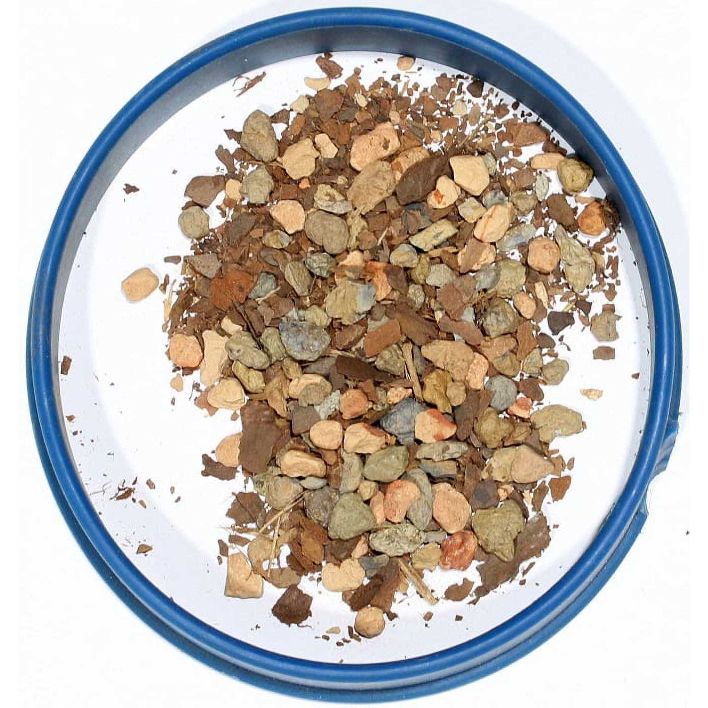 Bonsai Jack Succulent and Cactus Soil Jacks Gritty Mix - Image 3