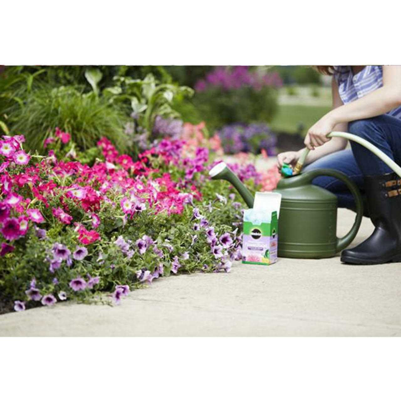 Miracle Gro Bloom Booster Flower Food - Image 2