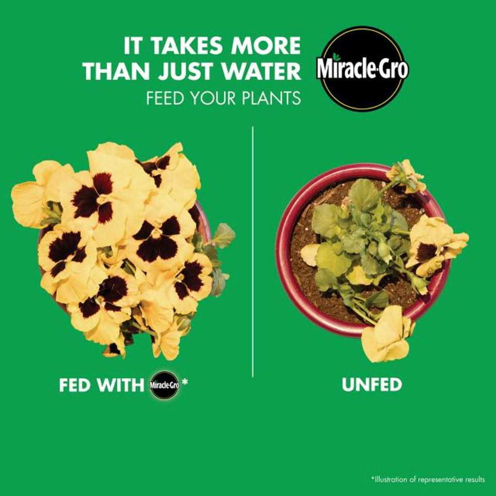 Miracle Gro Bloom Booster Flower Food - Image 5