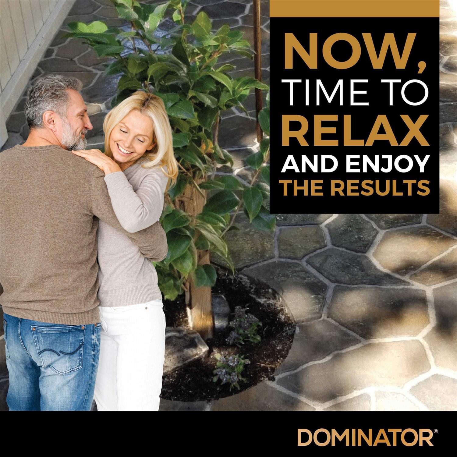 DOMINATOR 40 lbs. XL Polymeric Sand DPSXL40 - Image 5