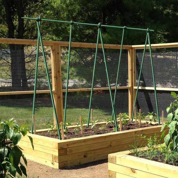 Ecostake Dia x H Sturdy Steel Garden Stakes Plastic Coated Plant Stakes for Climbing Plants - Image 5