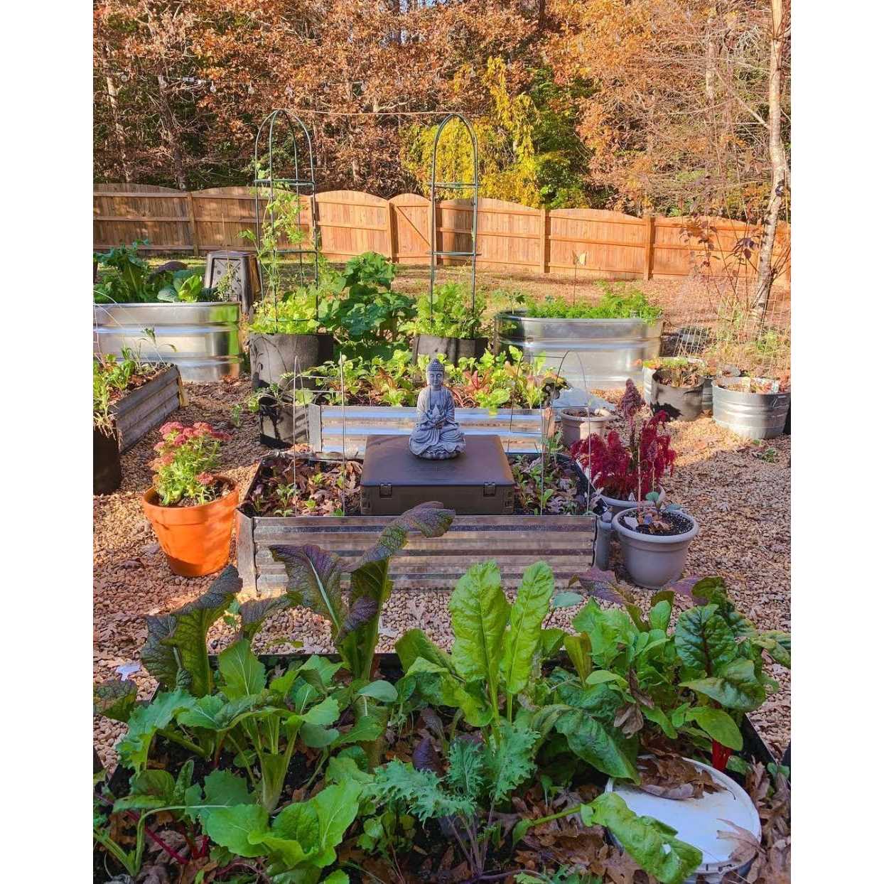 Subpod Mini Compost Bin and Worm Farm - Image 4