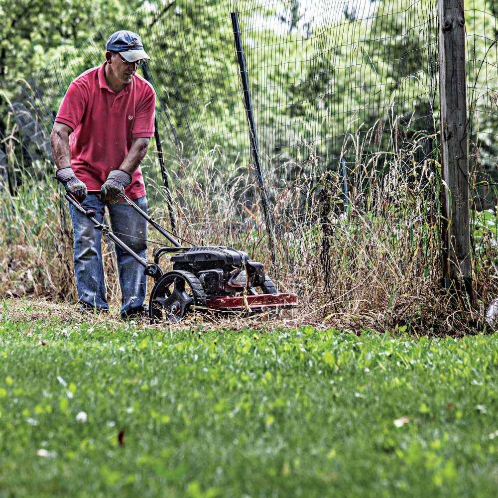 Earthquake Walk Behind String Mower 160cc - Image 3