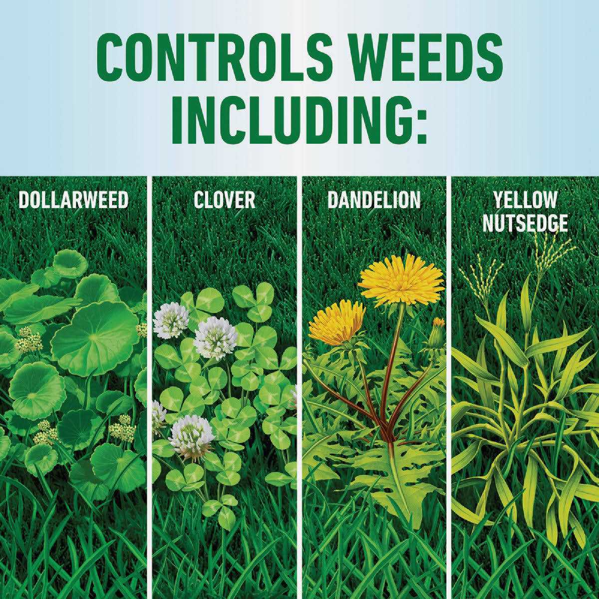 Roundup Weed Killer - Image 3