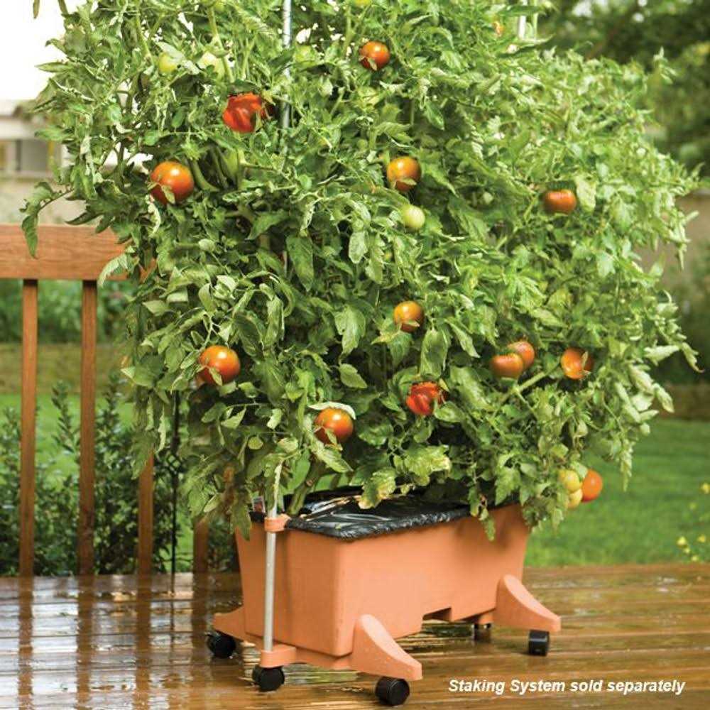 EarthBox Container Gardening System - Image 3