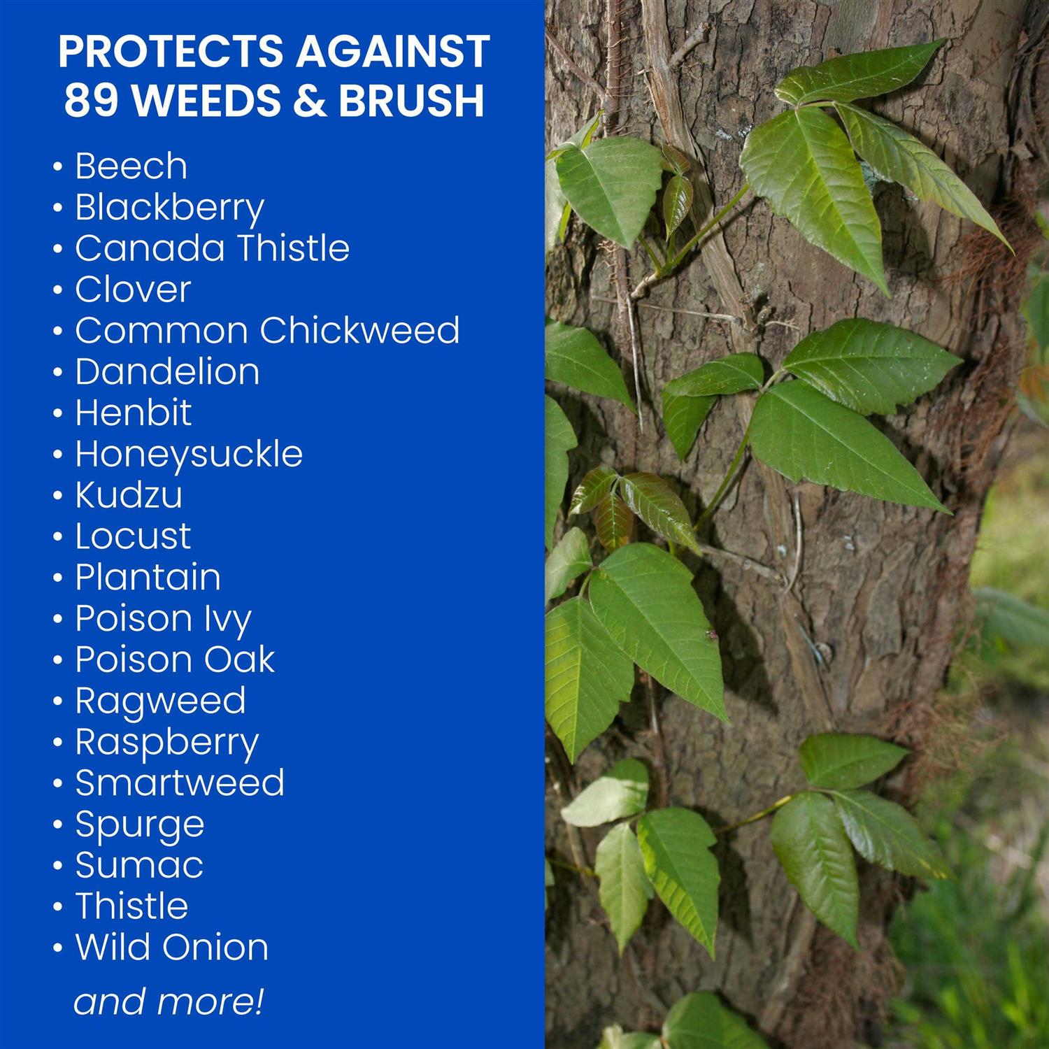 BioAdvanced 1 gal Ready-to-Use Brush Killer Plus - Image 4