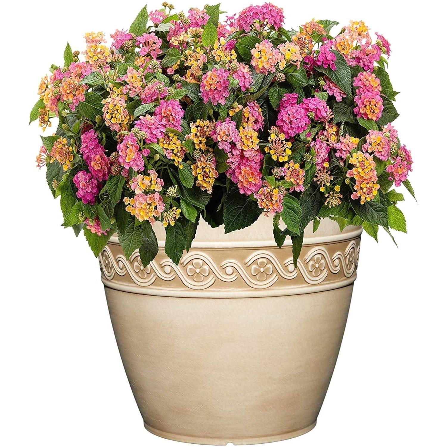 Classic Home and Garden Corinthian Resin Flower Pot Planter - Image 3