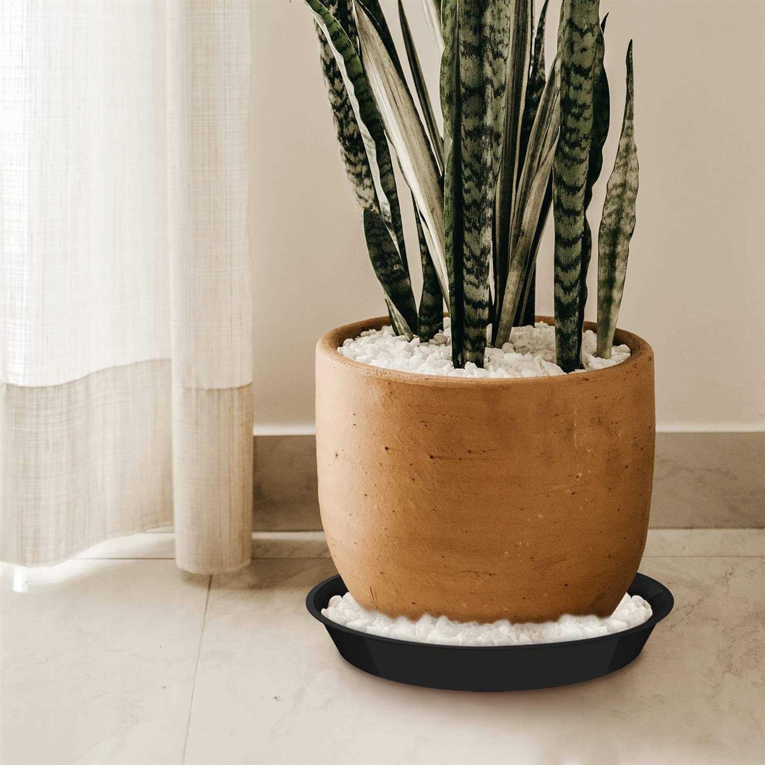 Dunpute 6 Pack Plant Saucer 12 14 16 18 20 Inch Plastic Plant Tray, Sturdy and Durable Flower Pot Containers Plant Pot Saucers F - Image 4