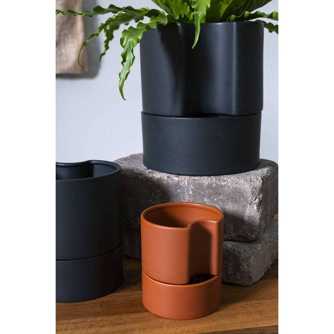 AllModern Patti Self-Watering Ceramic Pot Planter - Image 5