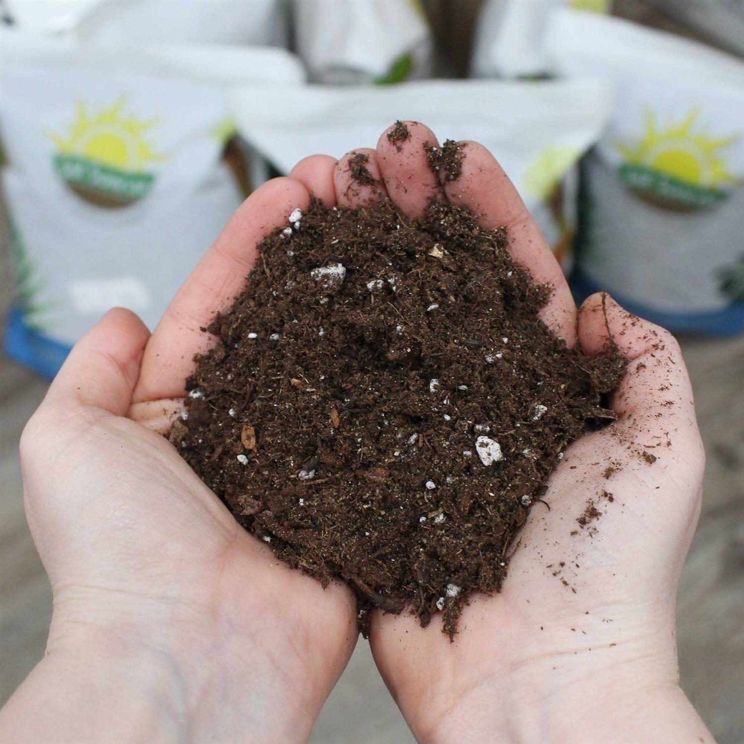 Soil Sunrise Peace Lily Potting Soil Mix - Image 5