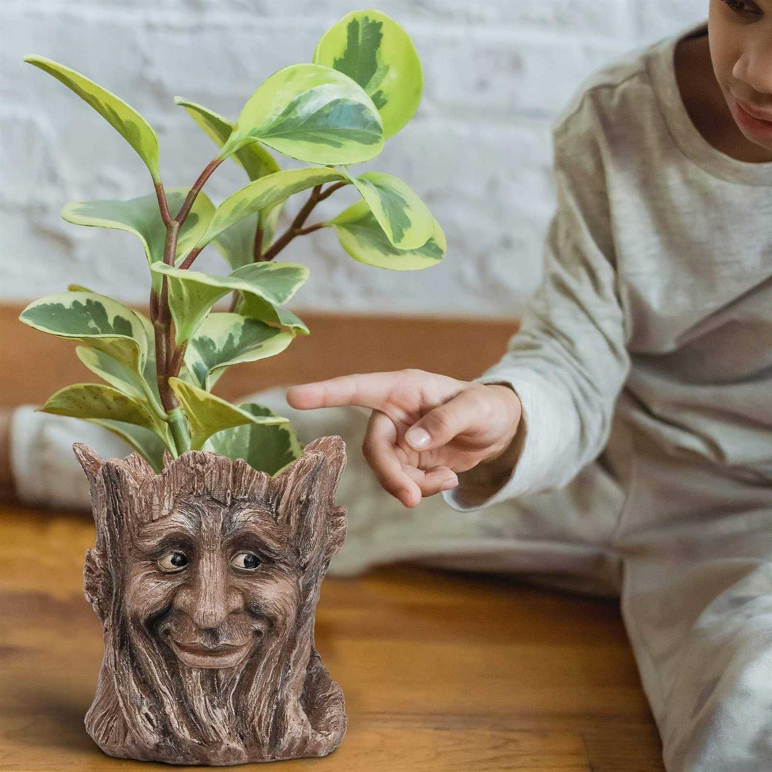 EIIORPO Tree Face Planter,Old Man Tree Face Garden Pots Resin Tree Face Decor Flower Pots Succulent Plant Pot for Outdoor Indoor Funny Yard - Image 4