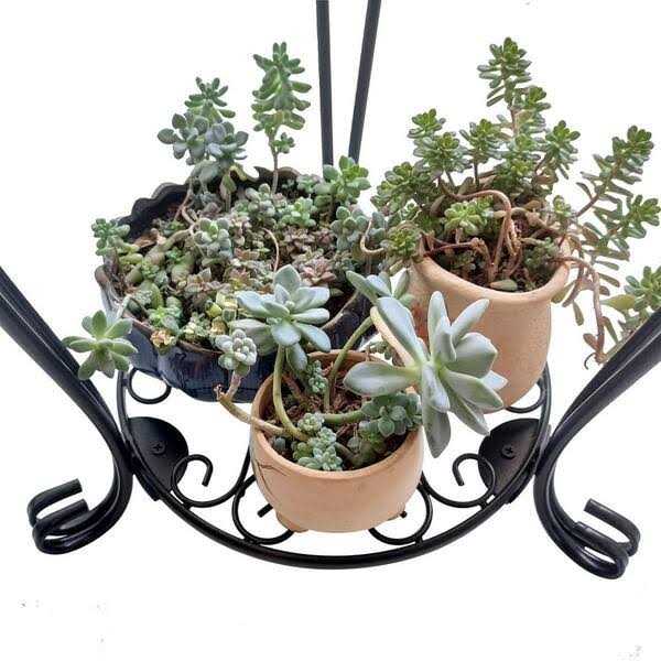 Dyiom Black 19.2 in. Steel 2 Tier Outdoor Plant Stand with Multiple Flower Pot Shelf Rustproof - Image 4