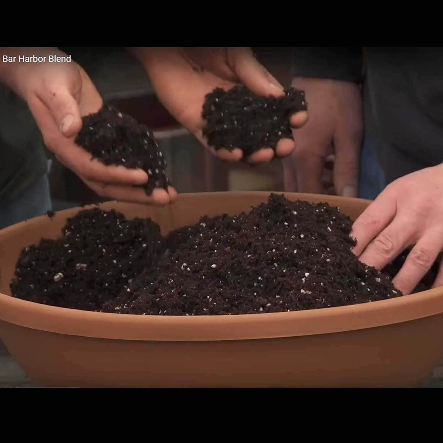 Coast of Maine Bar Harbor Blend Potting Soil - Image 5