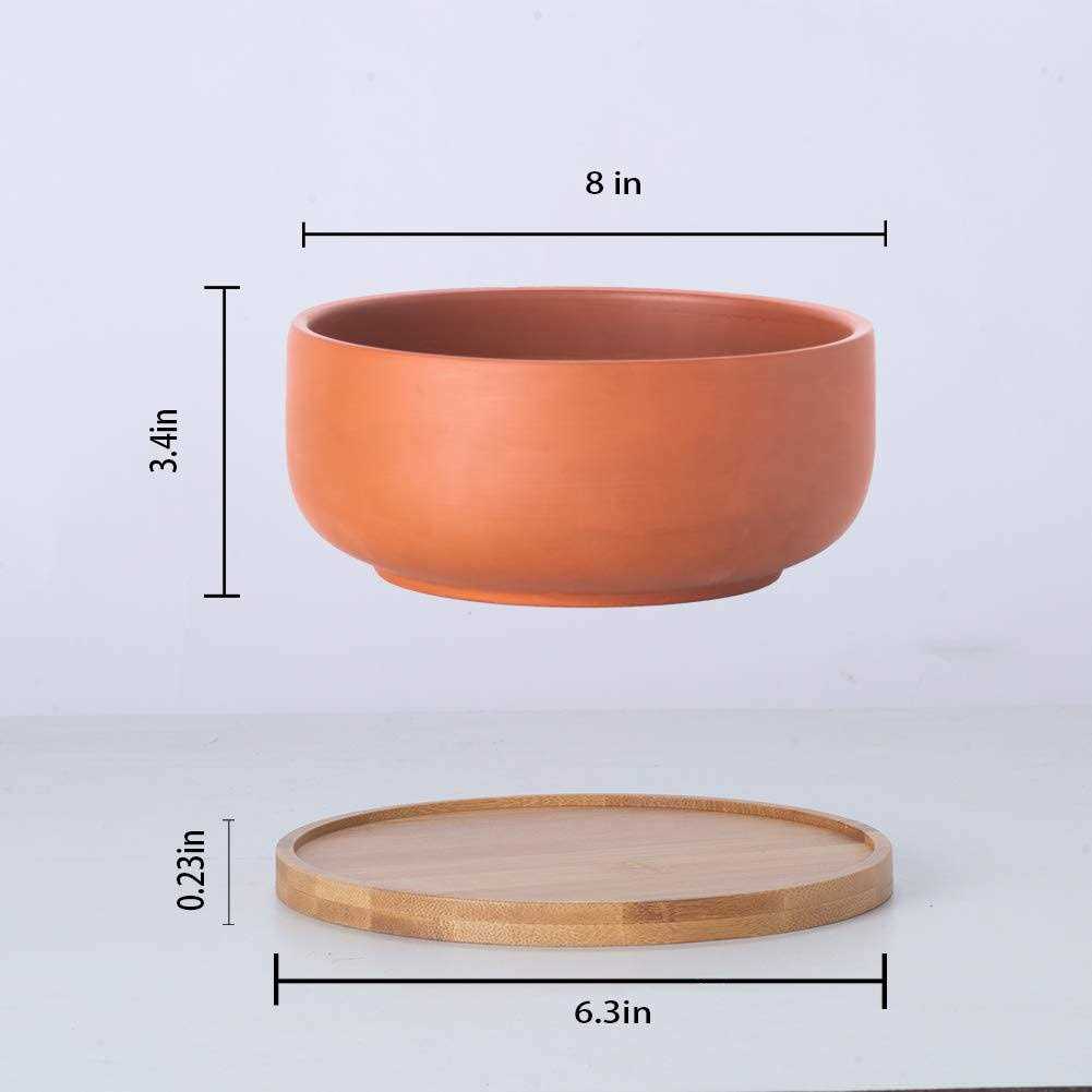 EPFamily Terracotta Shallow Succulent Planter, 8 Inch Planter Pot with Bamboo Tray, Clay Flower Pot Indoor and Outdoor Planter with Drainage - Image 3