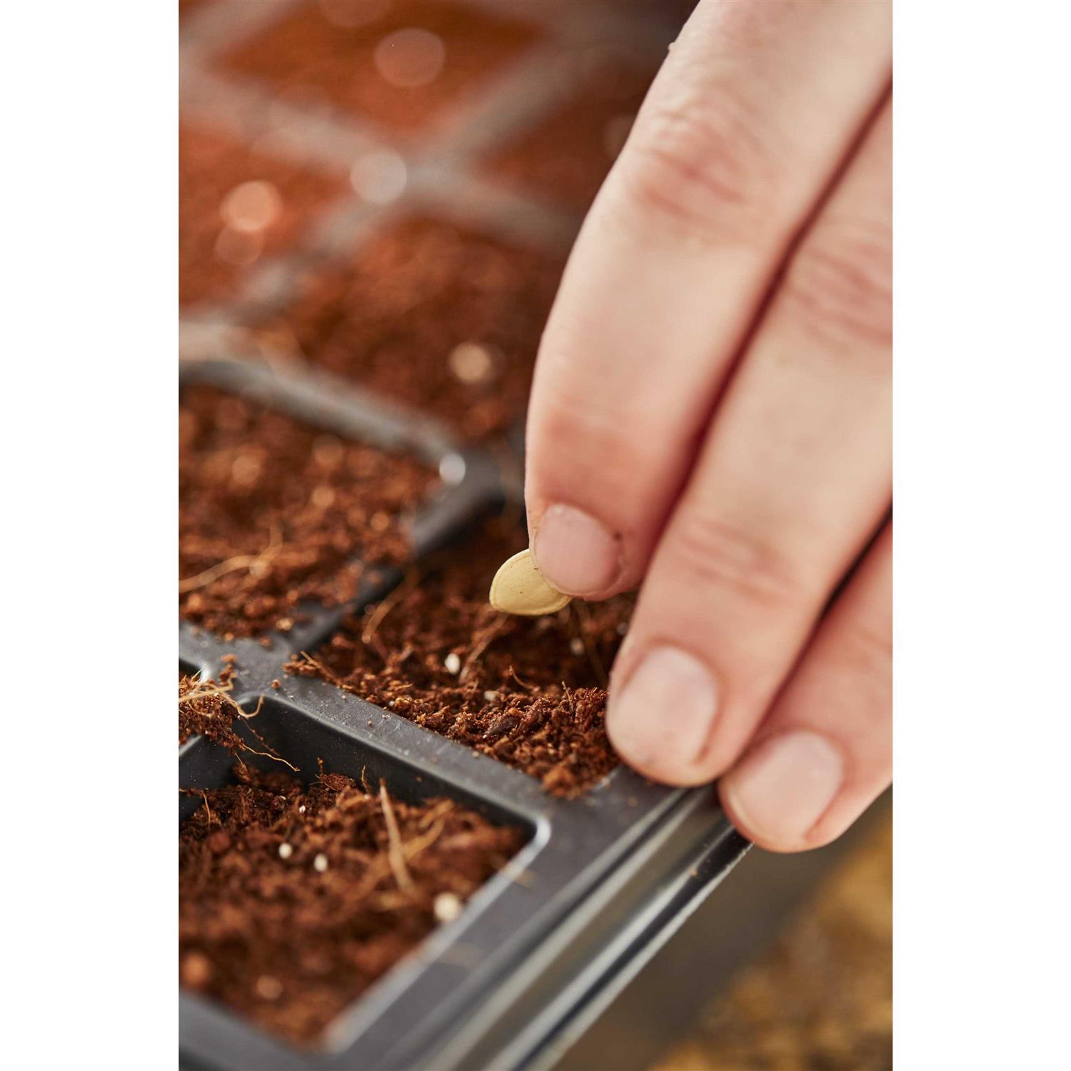 Burpee 8 Qt. Concentrated Seed Starting Mix - Image 5